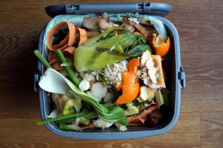 How to Reduce Food Waste on the Homestead Image